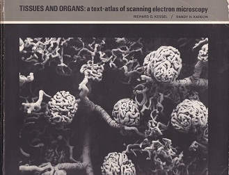 Secondhand Used Book - TISSUES AND ORGANS: A TEXT-ATLAS OF SCANNING ELECTRON MICROSCOPY by Richard Kessel & Randy Kardon
